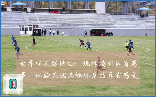世界杯买球地址：玩转精彩体育赛事，体验无忧流畅观看的真实感受