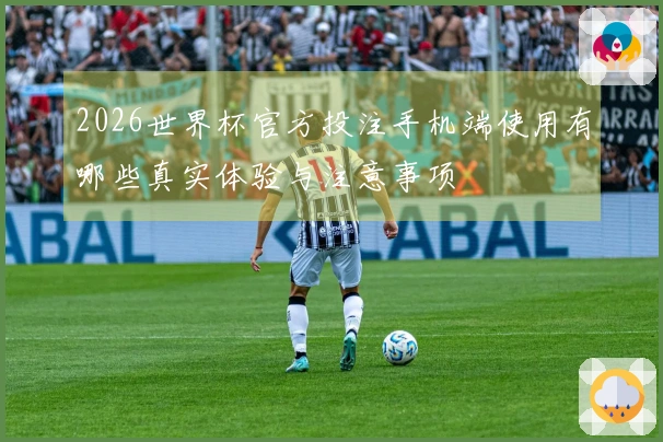 2026世界杯官方投注手机端使用有哪些真实体验与注意事项