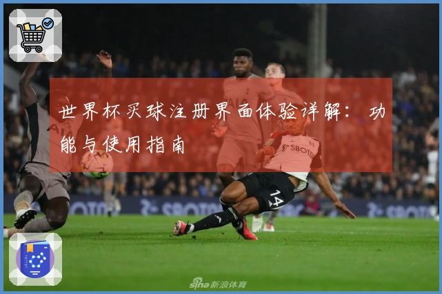 世界杯买球注册界面体验详解：功能与使用指南