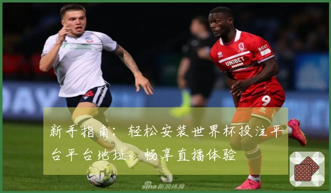 新手指南：轻松安装世界杯投注平台平台地址，畅享直播体验