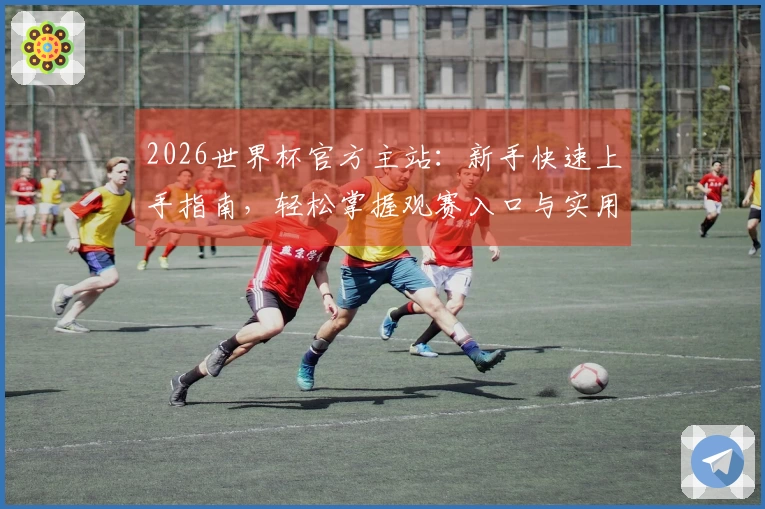 2026世界杯官方主站：新手快速上手指南，轻松掌握观赛入口与实用功能