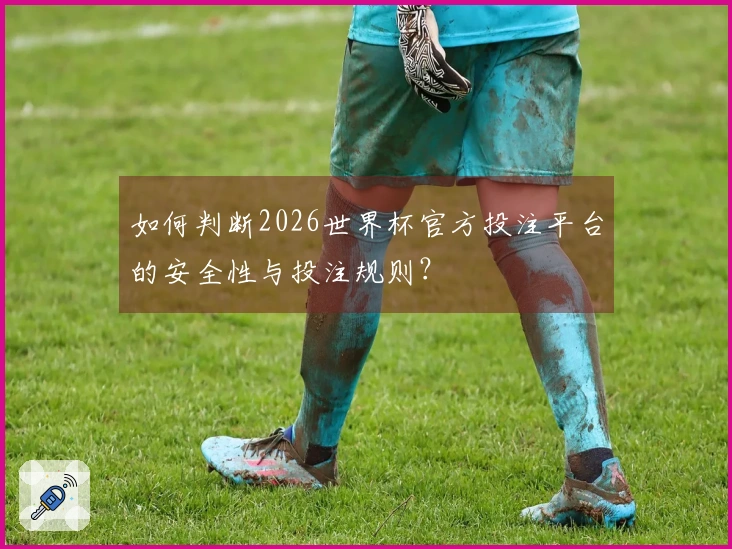 如何判断2026世界杯官方投注平台的安全性与投注规则？