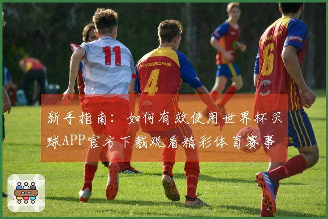 新手指南：如何有效使用世界杯买球APP官方下载观看精彩体育赛事