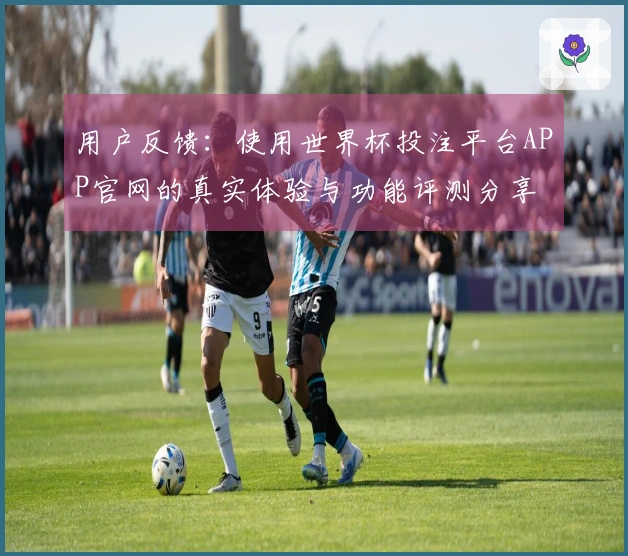 用户反馈：使用世界杯投注平台APP官网的真实体验与功能评测分享