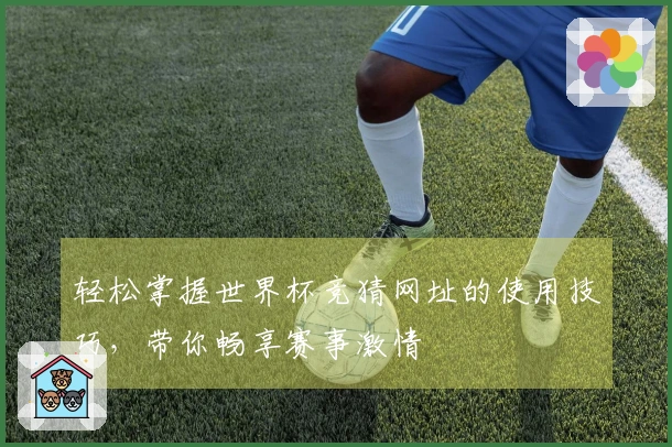 轻松掌握世界杯竞猜网址的使用技巧，带你畅享赛事激情