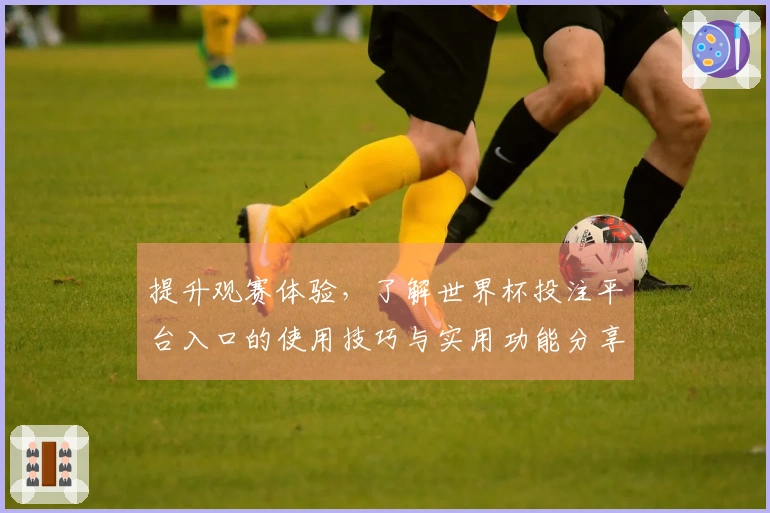提升观赛体验，了解世界杯投注平台入口的使用技巧与实用功能分享