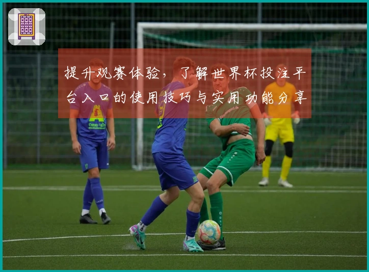 提升观赛体验，了解世界杯投注平台入口的使用技巧与实用功能分享