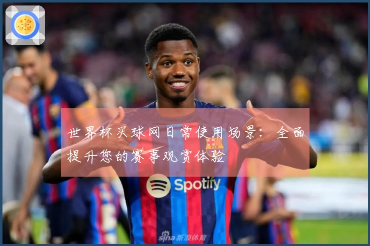 世界杯买球网日常使用场景：全面提升您的赛事观赏体验