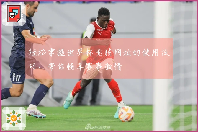 轻松掌握世界杯竞猜网址的使用技巧，带你畅享赛事激情