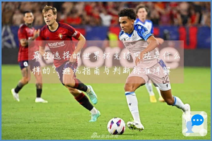 最佳选择的世界杯竞猜网站是什么样的？避坑指南与判断标准详解