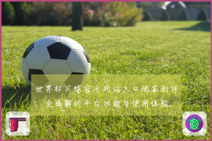 世界杯买球官方网站入口玩家测评：全面解析平台功能与使用体验