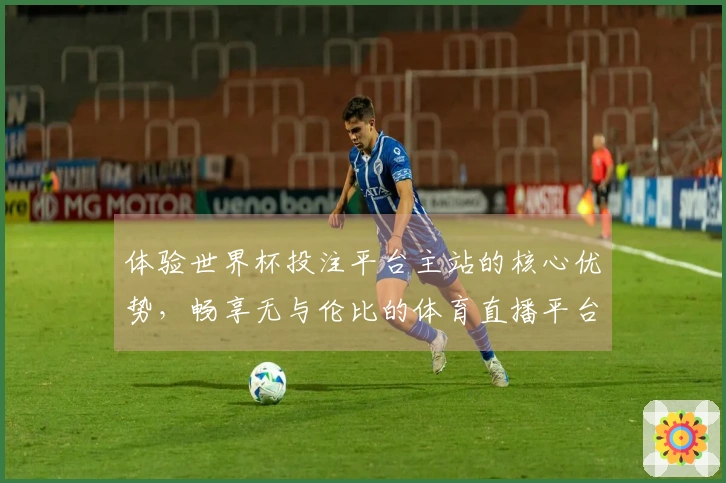 体验世界杯投注平台主站的核心优势，畅享无与伦比的体育直播平台服务